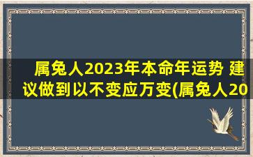 属兔人2023年本命年运势 建议做到以不变应万变(属兔人2023年本命年运势：以应变为中心，保持稳定求发展)